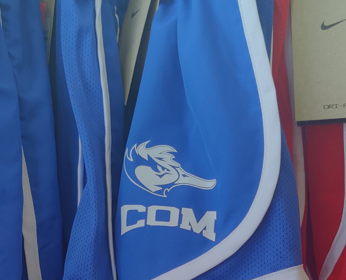 image showing college mascot design for College of the Mainland. Copyright  College of the Mainland.